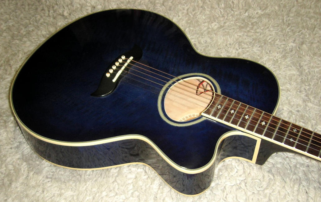 Gitarrenfundgrube - Modell aria-elecord-fet