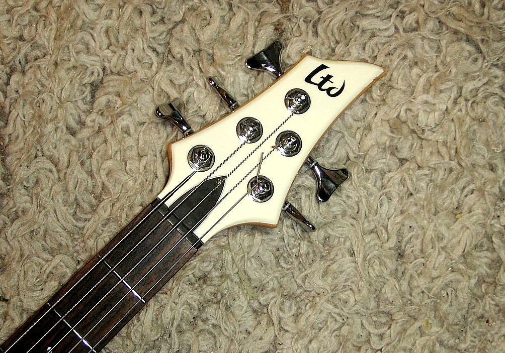 esp-ltd-f105 - Details