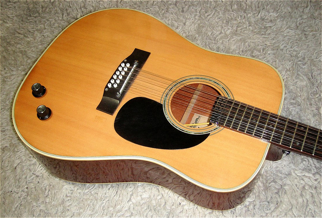 fender-f55-12