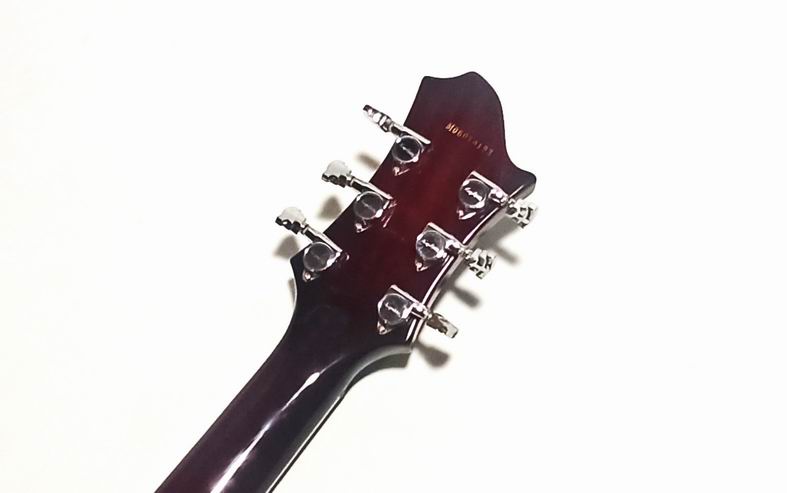 hagstrom-d2f - Details