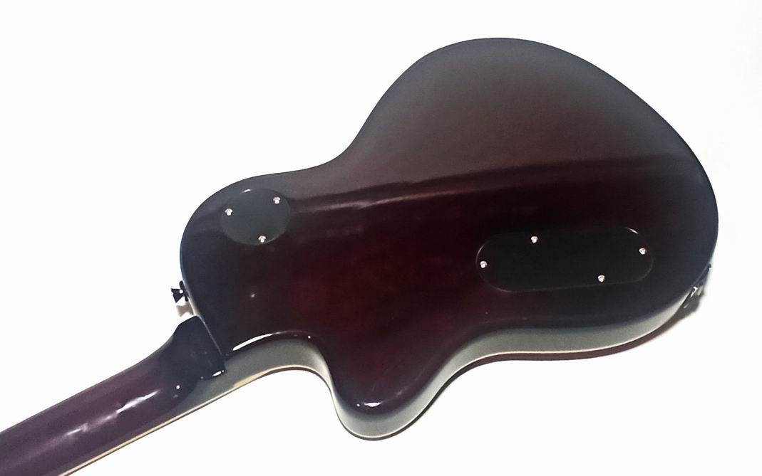 hagstrom-d2f - Details