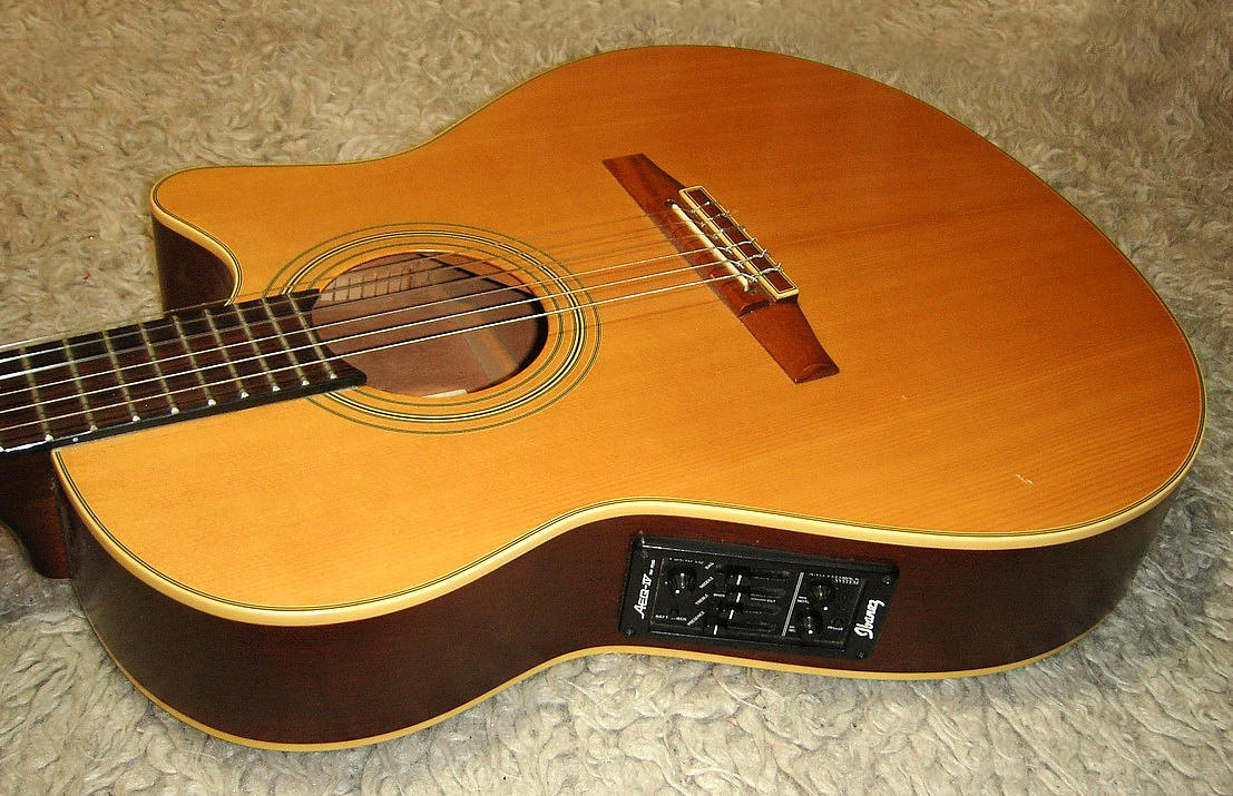 ibanez-ae20n