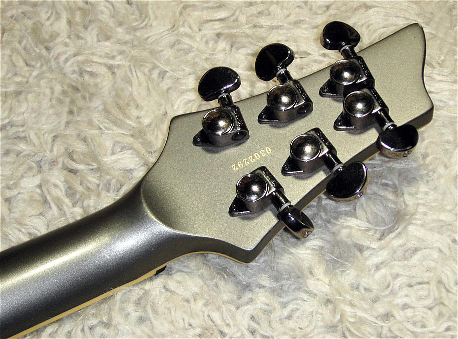 schecter006 - Details