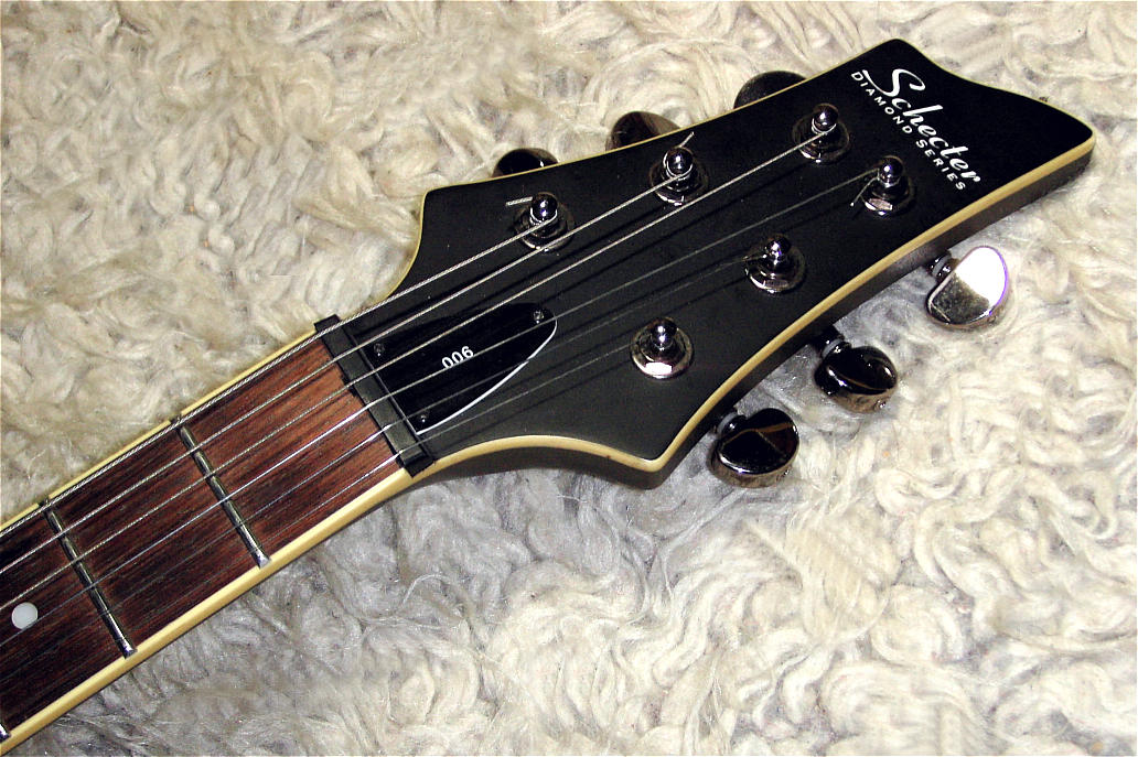 schecter006 - Details