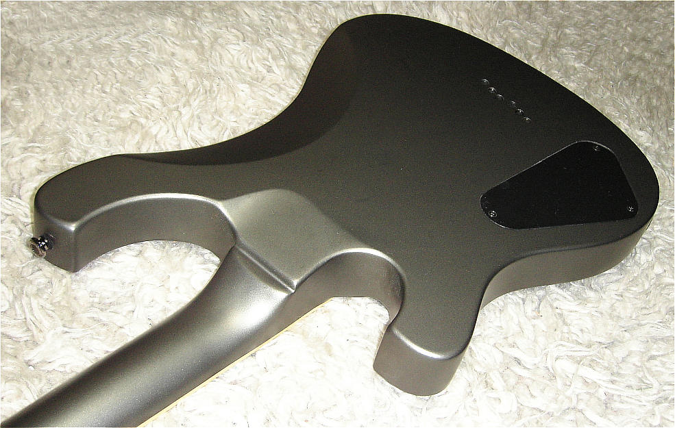 schecter006 - Details