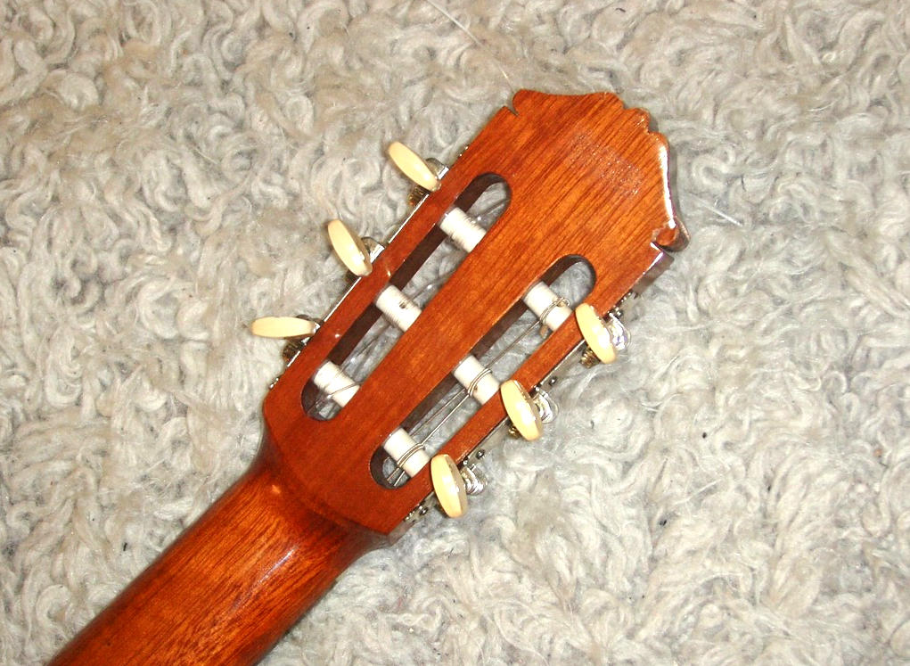shiro - Details
