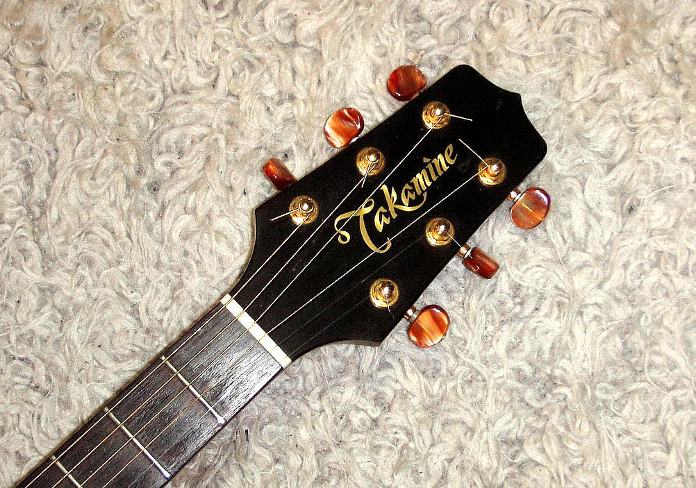 takamine-np15c - Details