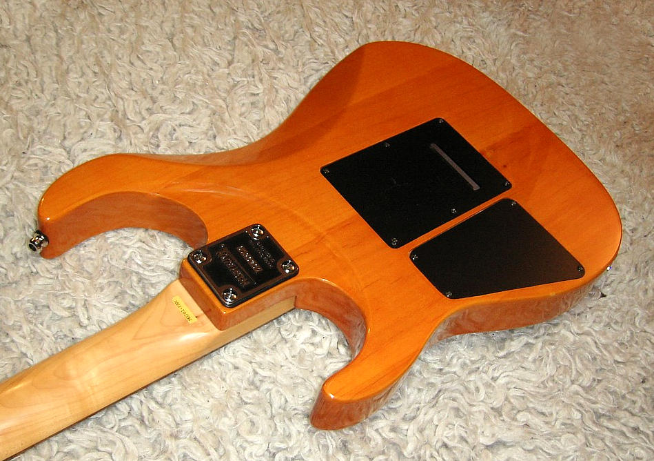 Gitarrenfundgrube - Modell washburn-mg701