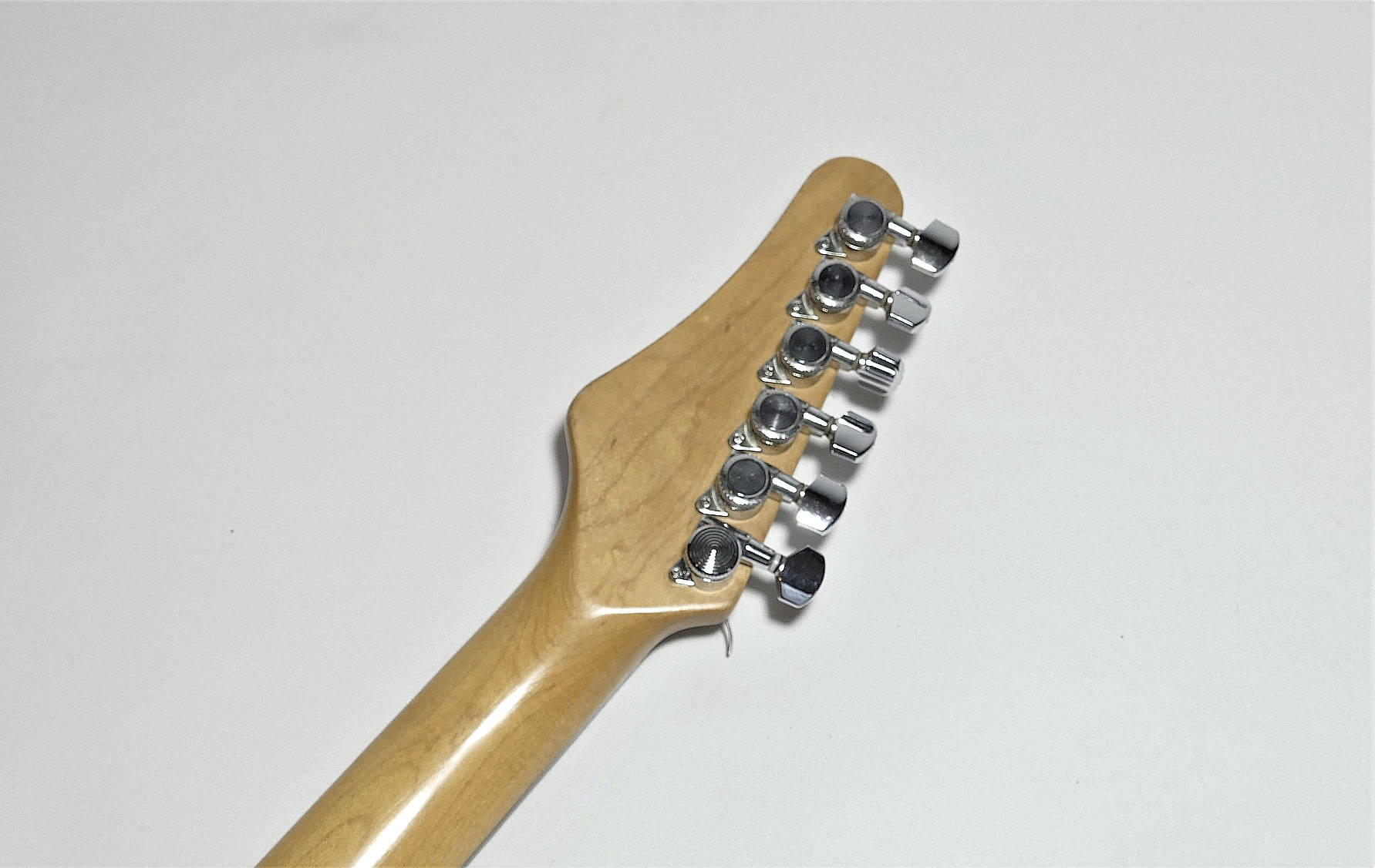 washburn-mg701ro - Details