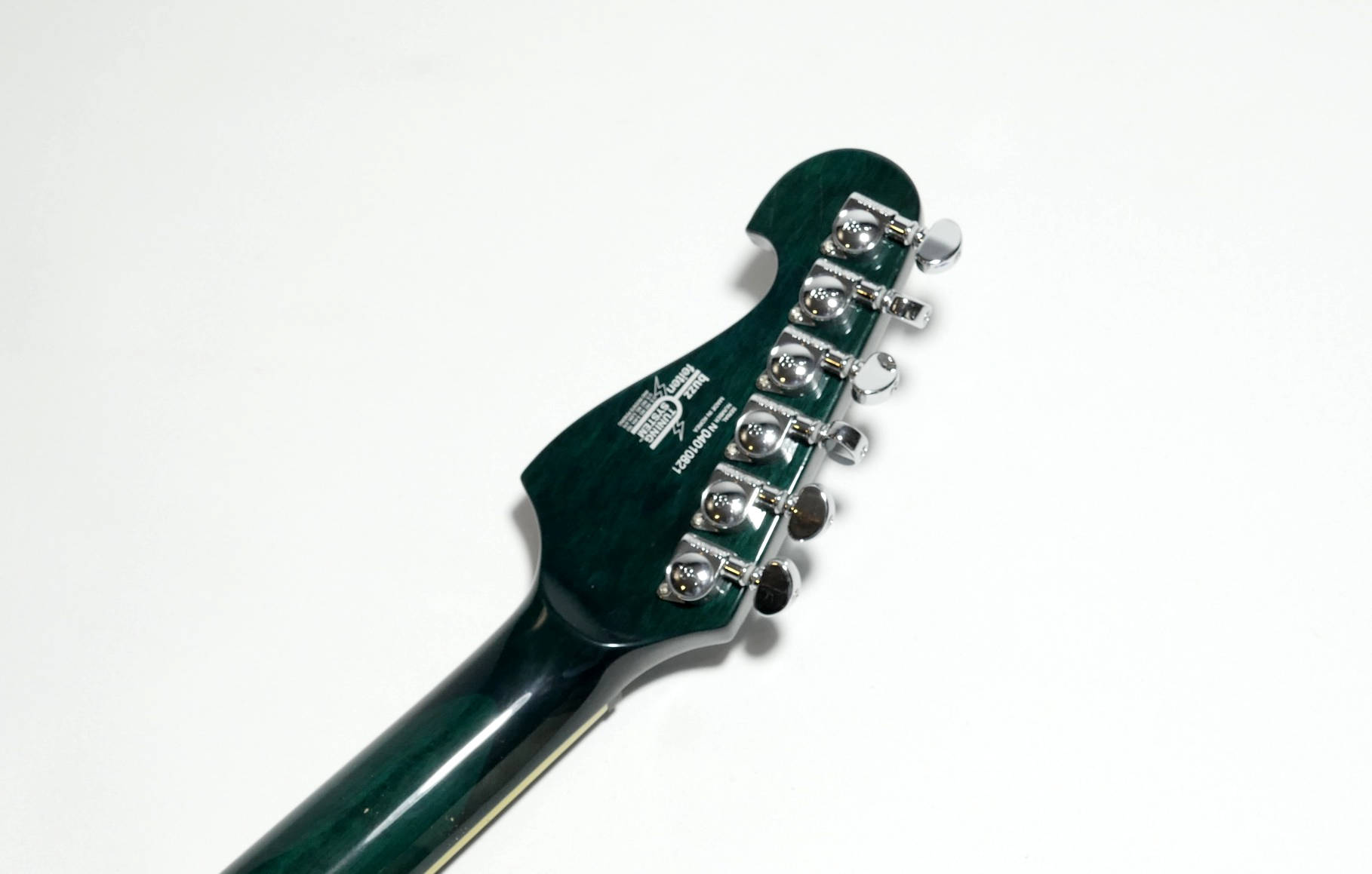 washburn-x50 - Details