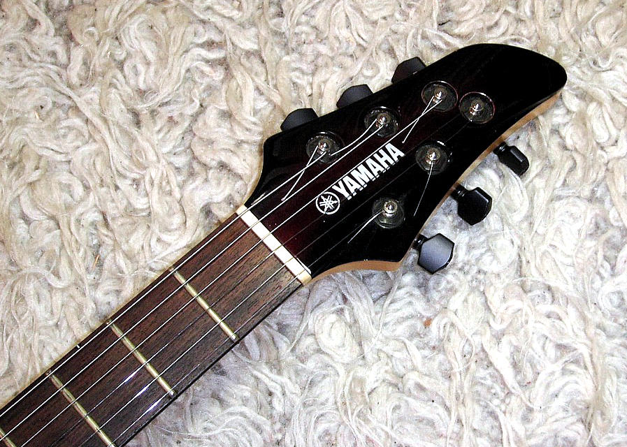 yamaha-rgx-tt - Details